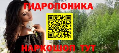 шишки Ликино-Дулёво