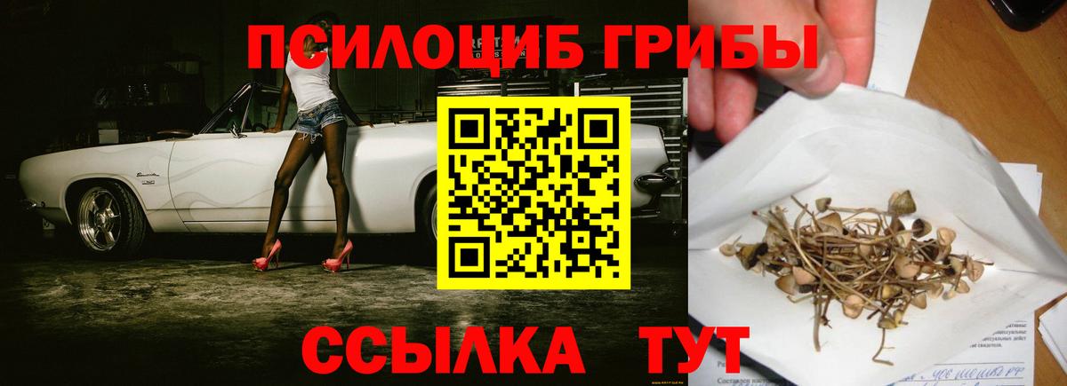 Псилоцибиновые грибы Magic Shrooms  Вход с VPN  Торжок 